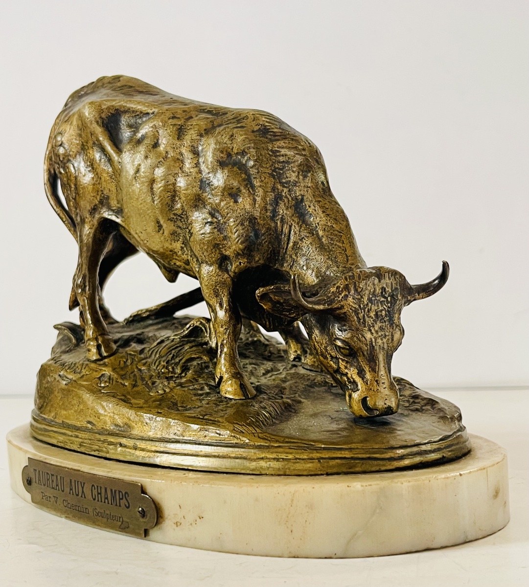 Taureau au champ - Victor CHEMIN